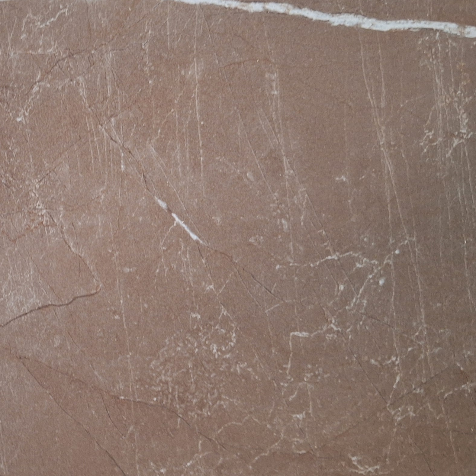 Pulpis Brown MB 08 12mm